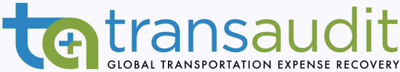 Trans Audit Logo 2022 Cropped